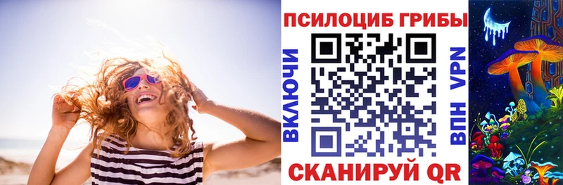 МЕГА сайт  Вязьма  Псилоцибиновые грибы Psilocybine cubensis 