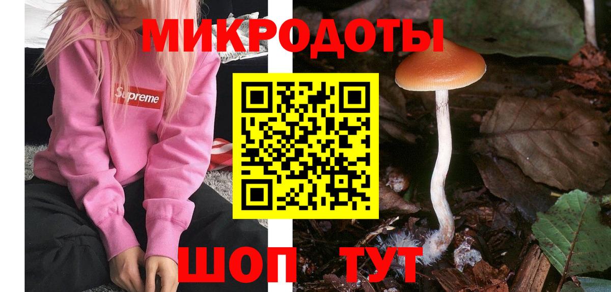 Галлюциногенные грибы Psilocybine cubensis Вязьма