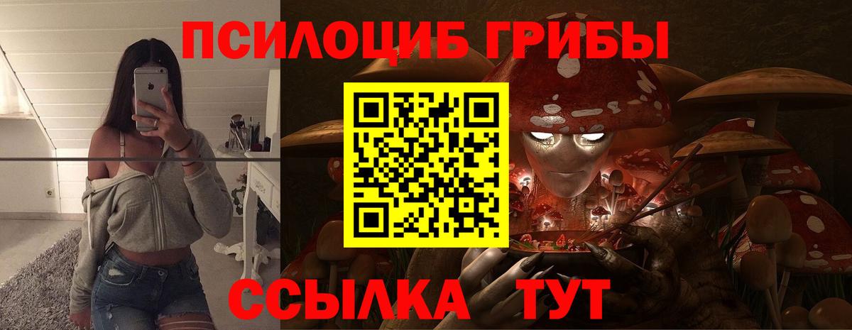 Галлюциногенные грибы Cubensis  Галлюциногенные грибы Magic Shrooms  Вход с VPN  Вязьма 