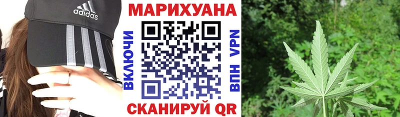 Бошки марихуана сатива Вязьма